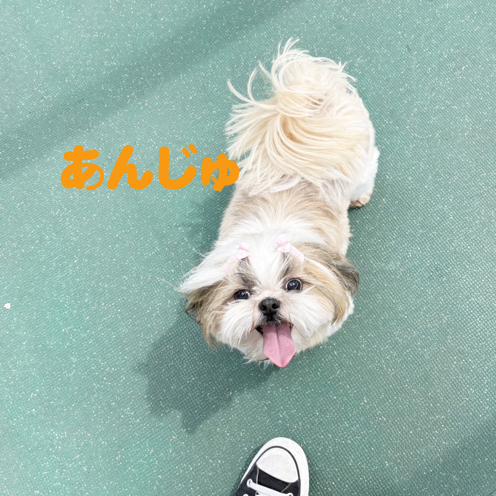 生徒が撮影してくれました♪